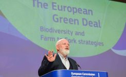 La UE quiere mejorar y proteger su biodiversidad para 2030